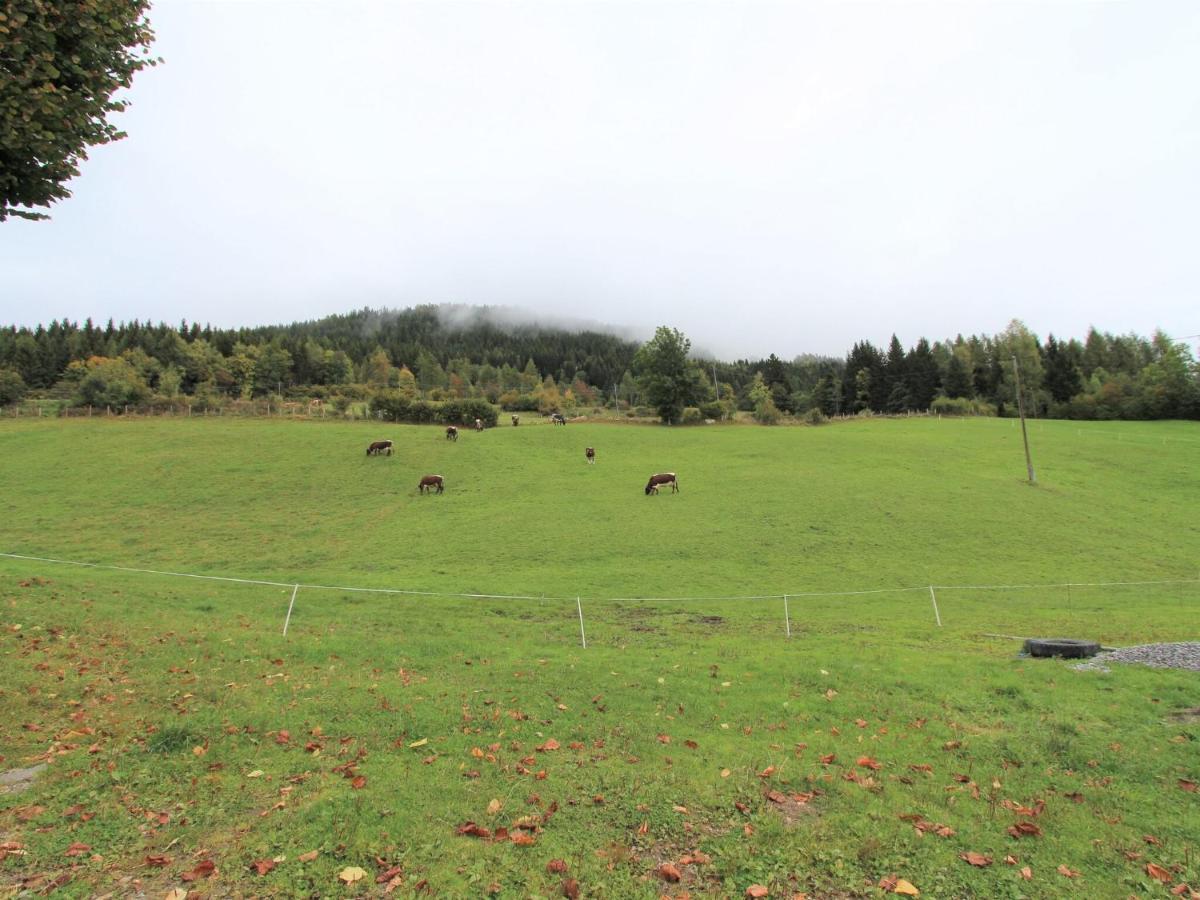 Beautiful Apartment In A Renovated Farmhouse In Fresach Carinthia Екстериор снимка